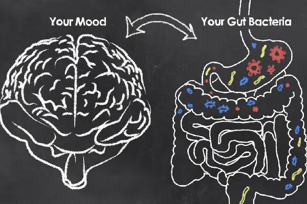 Common Gut Issues Amongst the ASD Community