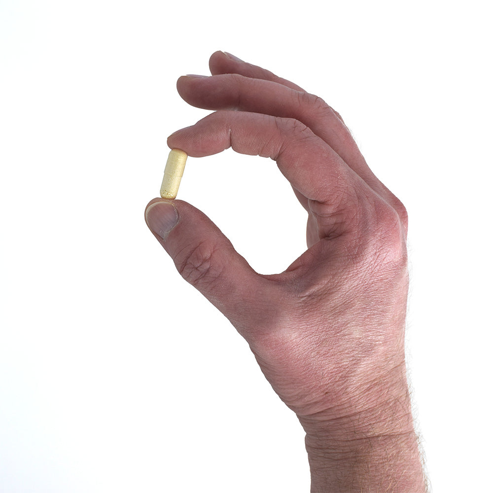 Does the Gut Produce Dopamine? Gut Dopamine and the Gut-Brain Axis