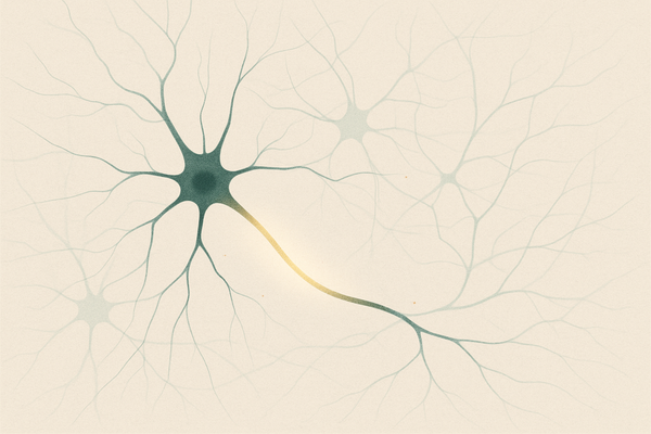 Lactobacillus for Anxiety: The GABA Connection