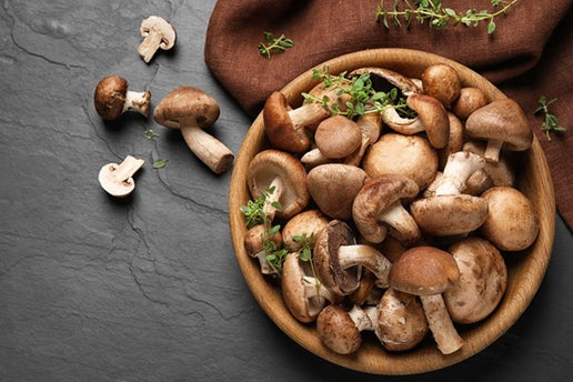 The 5 Best Mushrooms for Gut Health
