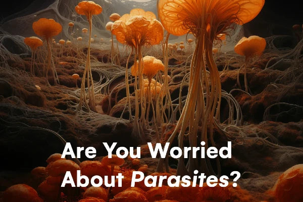 How Do I Know if I Have Parasites?