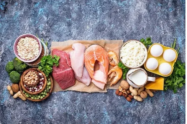 How Protein Affects Your Gut Microbes