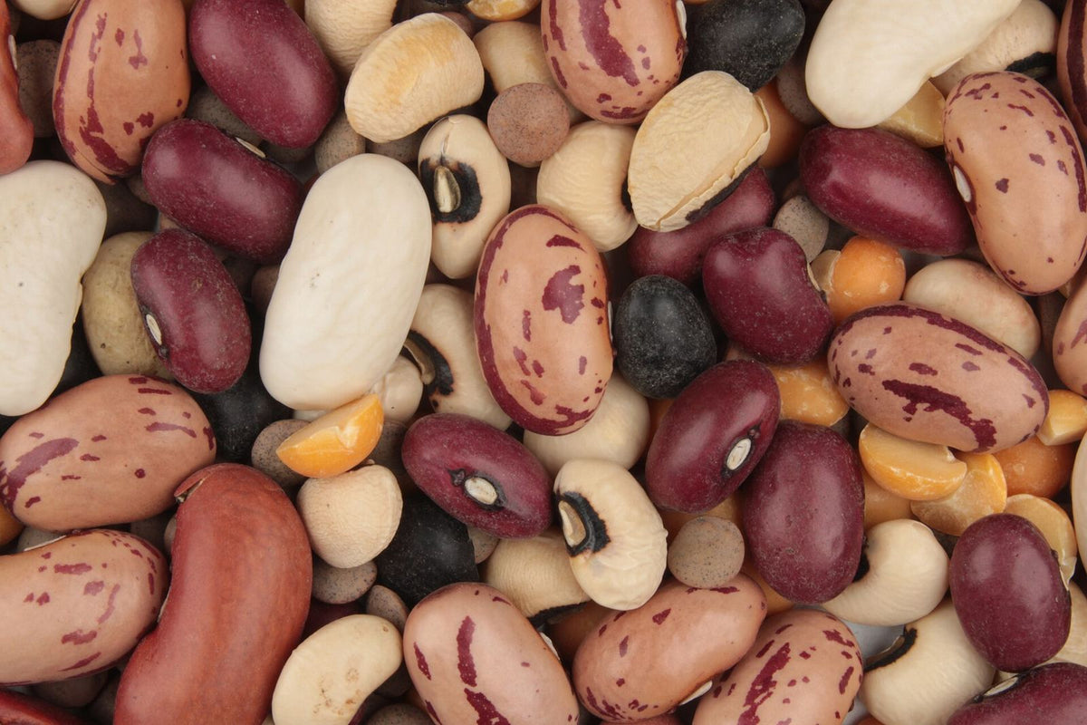 Constipation on Ozempic, Wegovy or Mounjaro: Why It Happens and What Helps