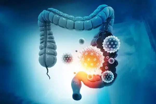 Fixing Leaky Gut: Here's How