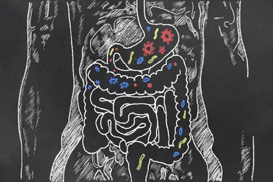 Myth Debunked: Your “Changing” Gut Microbiome