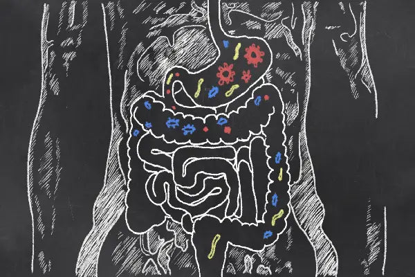 Myth Debunked: Your 'Changing' Gut Microbiome