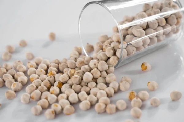 It’s “Soy” Good! How This Plant-Based Powerhouse Supports Your Gut Health