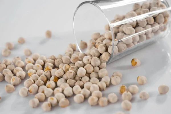 How Soy, a Plant-Based Powerhouse, Supports Your Gut Health